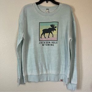 Techstyle Jackson Hole Wyoming light blue soft lightweight sweater (size M)